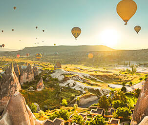 Domestic Travel Insurance